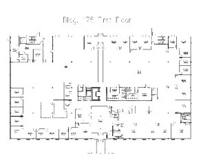 175 Floor Plan