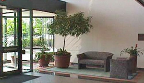 office lobby with couch, chairs, and plants